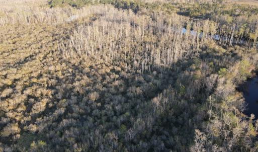 Photo #6 of SOLD property in Off Launch Drive, Bolivia, NC 32.2 acres