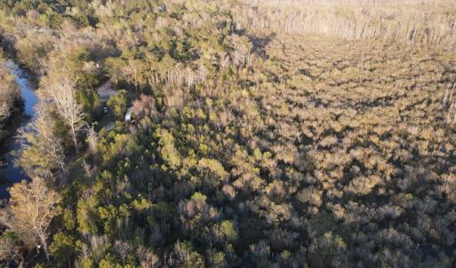 Photo #8 of SOLD property in Off Launch Drive, Bolivia, NC 32.2 acres
