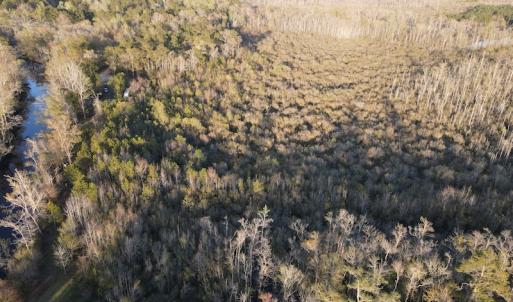 Photo #9 of SOLD property in Off Launch Drive, Bolivia, NC 32.2 acres