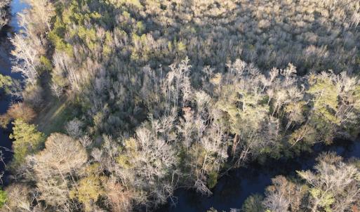 Photo #10 of SOLD property in Off Launch Drive, Bolivia, NC 32.2 acres