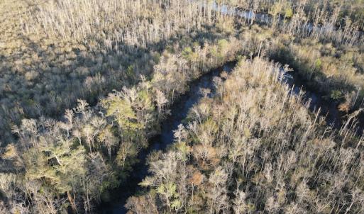 Photo #11 of SOLD property in Off Launch Drive, Bolivia, NC 32.2 acres