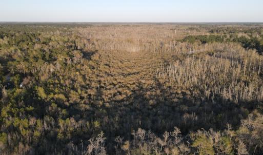 Photo #13 of SOLD property in Off Launch Drive, Bolivia, NC 32.2 acres