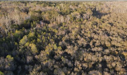 Photo #14 of SOLD property in Off Launch Drive, Bolivia, NC 32.2 acres