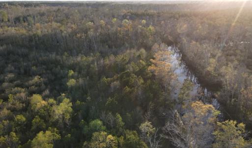 Photo #19 of SOLD property in Off Launch Drive, Bolivia, NC 32.2 acres