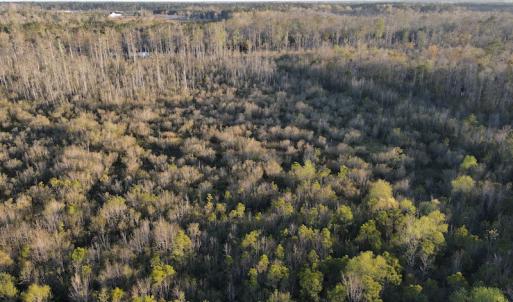 Photo #20 of SOLD property in Off Launch Drive, Bolivia, NC 32.2 acres