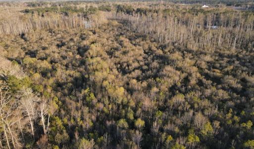 Photo #21 of SOLD property in Off Launch Drive, Bolivia, NC 32.2 acres
