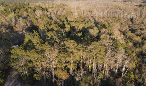 Photo #22 of SOLD property in Off Launch Drive, Bolivia, NC 32.2 acres