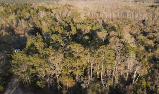 Photo #22 of SOLD property in Off Launch Drive, Bolivia, NC 32.2 acres