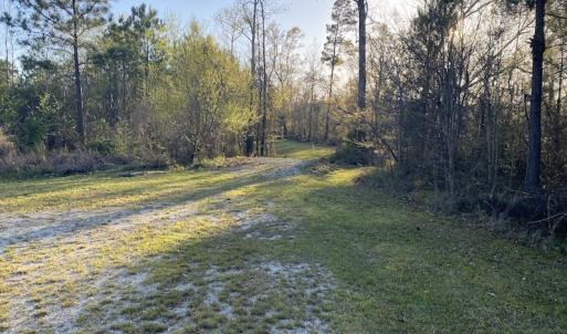 Photo #25 of SOLD property in Off Launch Drive, Bolivia, NC 32.2 acres