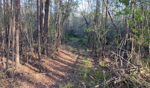 Photo #27 of SOLD property in Off Launch Drive, Bolivia, NC 32.2 acres