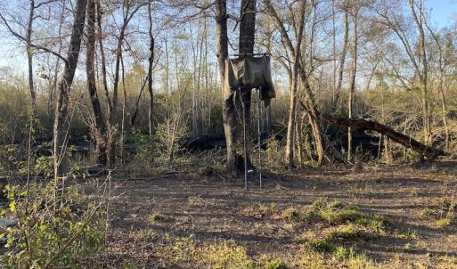 Photo #28 of SOLD property in Off Launch Drive, Bolivia, NC 32.2 acres