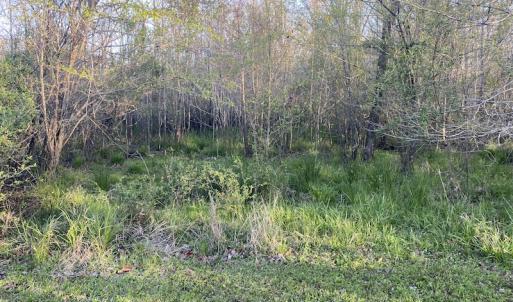 Photo #30 of SOLD property in Off Launch Drive, Bolivia, NC 32.2 acres