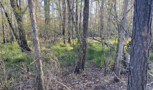 Photo #31 of SOLD property in Off Launch Drive, Bolivia, NC 32.2 acres