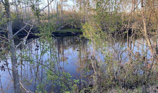 Photo #33 of SOLD property in Off Launch Drive, Bolivia, NC 32.2 acres