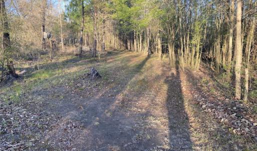 Photo #35 of SOLD property in Off Launch Drive, Bolivia, NC 32.2 acres