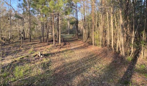 Photo #36 of SOLD property in Off Launch Drive, Bolivia, NC 32.2 acres