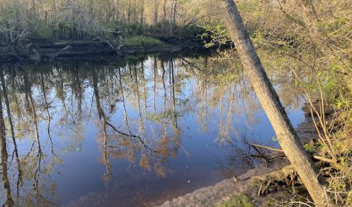 Photo #37 of SOLD property in Off Launch Drive, Bolivia, NC 32.2 acres
