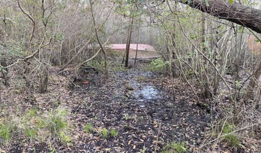 Photo #41 of SOLD property in Off Launch Drive, Bolivia, NC 32.2 acres