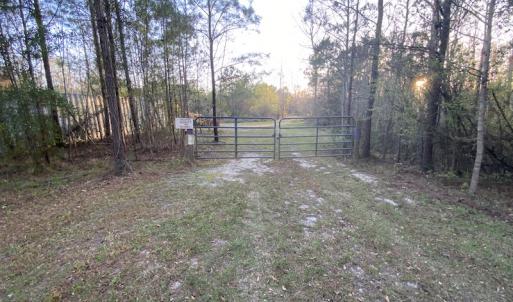Photo #48 of SOLD property in Off Launch Drive, Bolivia, NC 32.2 acres