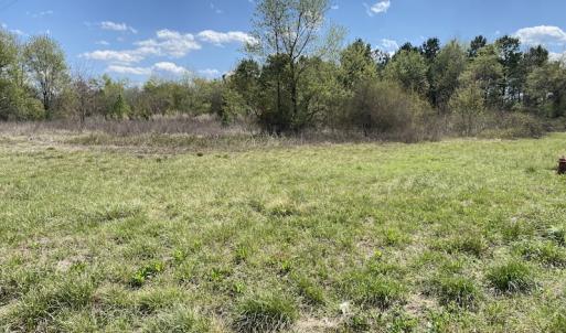 Photo #3 of SOLD property in Off S NC 903 HWY, Rose Hill, NC 9.1 acres