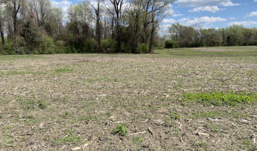 Photo #2 of Off Euray Moore Road, Warsaw, NC 8.2 acres