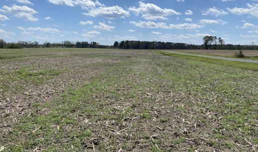 Photo #3 of Off Euray Moore Road, Warsaw, NC 8.2 acres