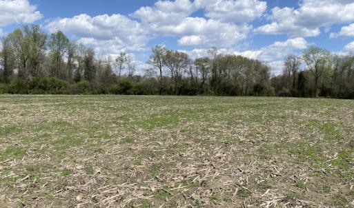 Photo #4 of Off Euray Moore Road, Warsaw, NC 8.2 acres