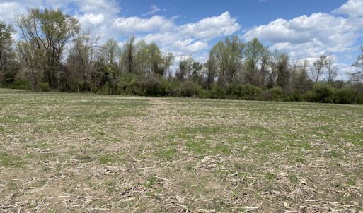 Photo #5 of Off Euray Moore Road, Warsaw, NC 8.2 acres