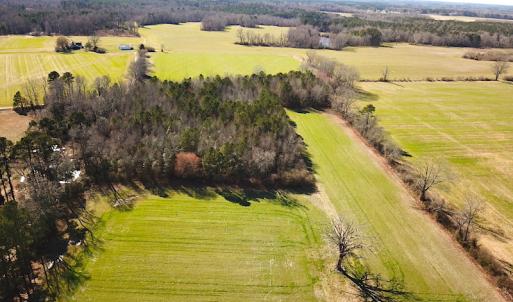 Photo #3 of SOLD property in Off Holly Run Drive, Carrsville, VA 22.7 acres