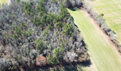Photo #5 of SOLD property in Off Holly Run Drive, Carrsville, VA 22.7 acres
