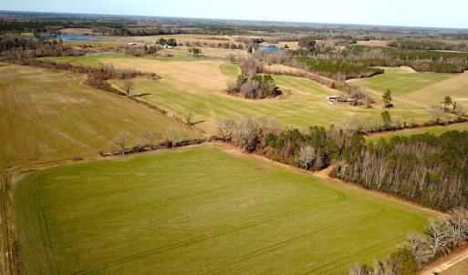 Photo #9 of SOLD property in Off Holly Run Drive, Carrsville, VA 22.7 acres