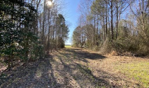 Photo #15 of SOLD property in Off Holly Run Drive, Carrsville, VA 22.7 acres
