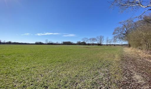 Photo #16 of SOLD property in Off Holly Run Drive, Carrsville, VA 22.7 acres
