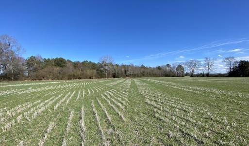 Photo #18 of SOLD property in Off Holly Run Drive, Carrsville, VA 22.7 acres
