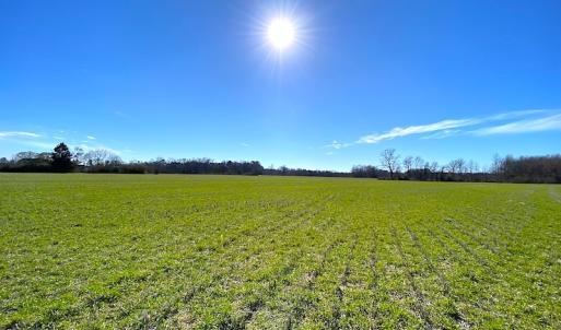 Photo #19 of SOLD property in Off Holly Run Drive, Carrsville, VA 22.7 acres