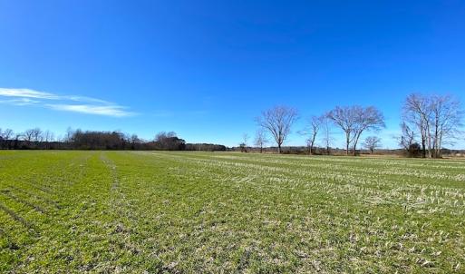 Photo #20 of SOLD property in Off Holly Run Drive, Carrsville, VA 22.7 acres
