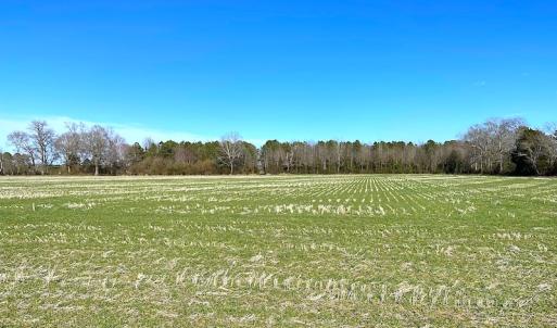 Photo #22 of SOLD property in Off Holly Run Drive, Carrsville, VA 22.7 acres
