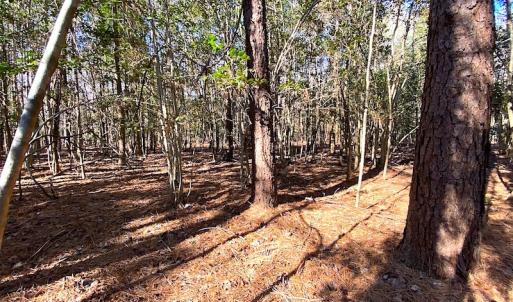 Photo #24 of SOLD property in Off Holly Run Drive, Carrsville, VA 22.7 acres