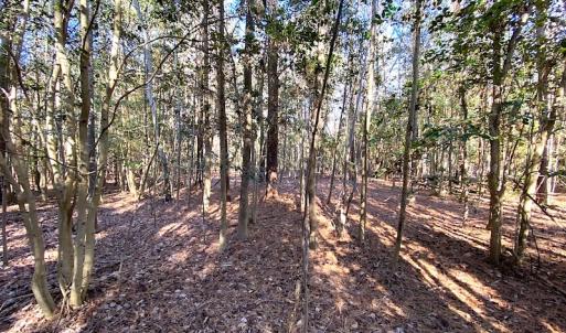 Photo #25 of SOLD property in Off Holly Run Drive, Carrsville, VA 22.7 acres