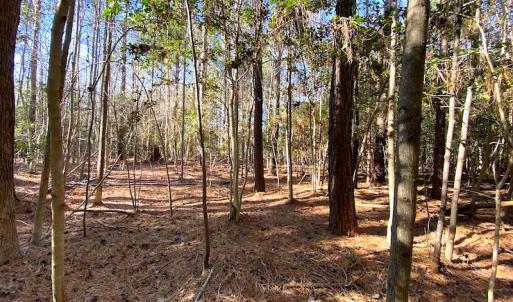 Photo #28 of SOLD property in Off Holly Run Drive, Carrsville, VA 22.7 acres