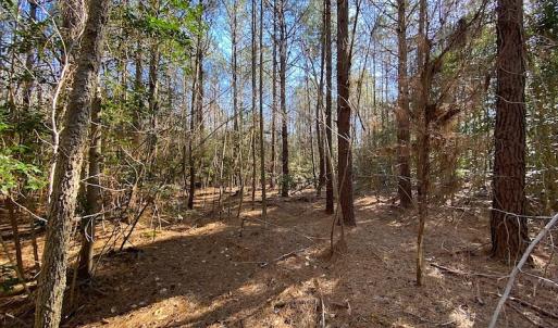 Photo #29 of SOLD property in Off Holly Run Drive, Carrsville, VA 22.7 acres