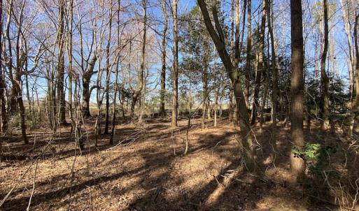 Photo #33 of SOLD property in Off Holly Run Drive, Carrsville, VA 22.7 acres