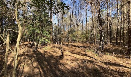 Photo #34 of SOLD property in Off Holly Run Drive, Carrsville, VA 22.7 acres