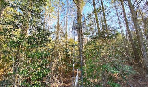 Photo #35 of SOLD property in Off Holly Run Drive, Carrsville, VA 22.7 acres