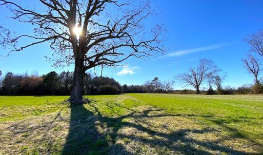 Photo #36 of SOLD property in Off Holly Run Drive, Carrsville, VA 22.7 acres
