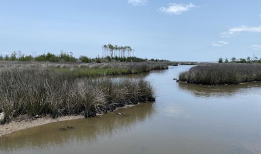 Photo #8 of SOLD property in Off Styron Creek Road, Sealevel, NC 105.0 acres