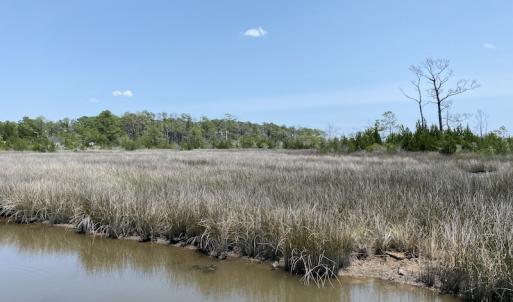 Photo #9 of SOLD property in Off Styron Creek Road, Sealevel, NC 105.0 acres