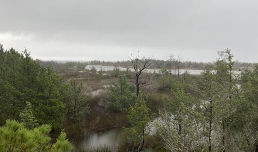 Photo #10 of SOLD property in Off Styron Creek Road, Sealevel, NC 105.0 acres