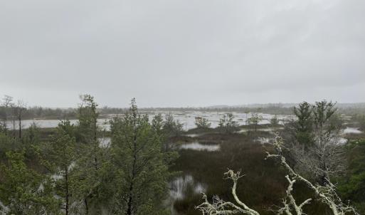 Photo #11 of SOLD property in Off Styron Creek Road, Sealevel, NC 105.0 acres