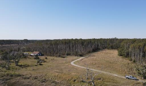 Photo #2 of 178 Mill Point Lane, Williston, NC 42.6 acres